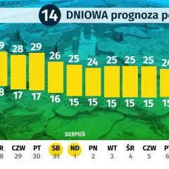 Ile stopni ma Bałtyk? Kiedy woda jest najcieplejsza i bezpieczna?