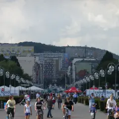 Jakie muszle znajdziesz w Bałtyku? Przewodnik po plażowych skarbach