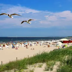 Słoneczny dzień na plaży w Sopocie. Woda w Bałtyku ma przyjemną temperaturę, idealną do kąpieli. Mewy szybują nad tłumem plażowiczów.