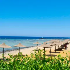 Słoneczny dzień na plaży w kraju nad Morzem Czerwonym. Rzędy parasoli i leżaków czekają na turystów.