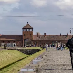 Oświęcim: Gdzie zjeść po Muzeum Auschwitz? Przewodnik po restauracjach