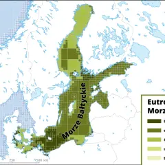 Mapa eutrofizacji wód Morza Bałtyckiego. Różne odcienie zieleni wskazują stopień zanieczyszczenia, od bardzo dużego do bardzo małego.