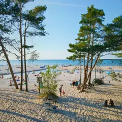 Słoneczna dębki plaża z piaszczystym wybrzeżem, drzewami sosnowymi i ludźmi odpoczywającymi nad wodą.
