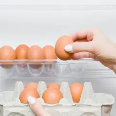 Dłoń wkłada jajko do lodówki, pokazując, gdzie przechowywać jajka. Na półkach widać wytłoczki z jajkami.