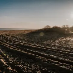 Gdzie Wisła spotyka Bałtyk? Ujście i atrakcje, które musisz znać