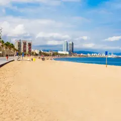 Słoneczna plaża w Barcelonie, palmy, spacerowicze i błękitne morze.