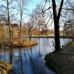 Gdzie zjeść w Pruszkowie? Sprawdź TOP miejsca na każdą okazję!