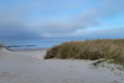 Piasek i trawy na wydmach prowadzą do spokojnych miejscowości nad morzem. Błękitne niebo i spokojne morze tworzą idealne tło.