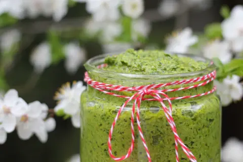 Słoik domowego pesto z czosnku niedźwiedziego, ozdobiony sznurkiem, na tle kwitnących drzew.