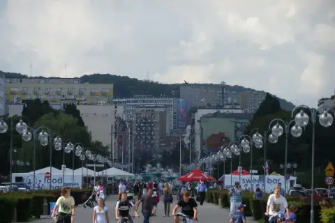 Jakie muszle znajdziesz w Bałtyku? Przewodnik po plażowych skarbach