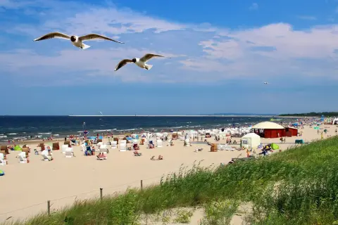 Słoneczny dzień na plaży w Sopocie. Woda w Bałtyku ma przyjemną temperaturę, idealną do kąpieli. Mewy szybują nad tłumem plażowiczów.