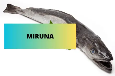 Cała ryba, z napisem "MIRUNA", wygląda apetycznie. Czy to miruna czy tilapia?