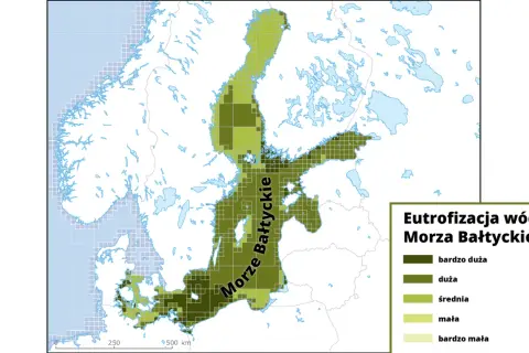 Mapa eutrofizacji wód Morza Bałtyckiego. Różne odcienie zieleni wskazują stopień zanieczyszczenia, od bardzo dużego do bardzo małego.