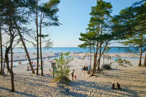 Słoneczna dębki plaża z piaszczystym wybrzeżem, drzewami sosnowymi i ludźmi odpoczywającymi nad wodą.