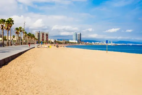 Słoneczna plaża w Barcelonie, palmy, spacerowicze i błękitne morze.