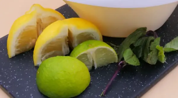 Kawałki cytryny i limonki, świeża mięta i miska. Idealne składniki na orzeźwiający napój.