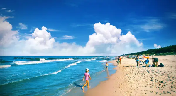 Słoneczna plaża, fale, dzieci bawiące się w piasku i w wodzie. W tle widać las i ludzi cieszących się wakacjami. Idealne miejsce na chałupy imprezy.