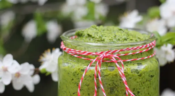 Słoik domowego pesto z czosnku niedźwiedziego, ozdobiony sznurkiem, na tle kwitnących drzew.