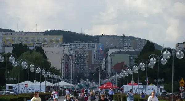 Jakie muszle znajdziesz w Bałtyku? Przewodnik po plażowych skarbach