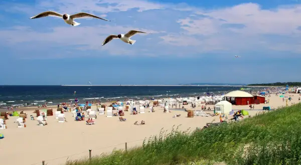 Słoneczny dzień na plaży w Sopocie. Woda w Bałtyku ma przyjemną temperaturę, idealną do kąpieli. Mewy szybują nad tłumem plażowiczów.