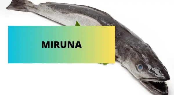 Cała ryba, z napisem "MIRUNA", wygląda apetycznie. Czy to miruna czy tilapia?