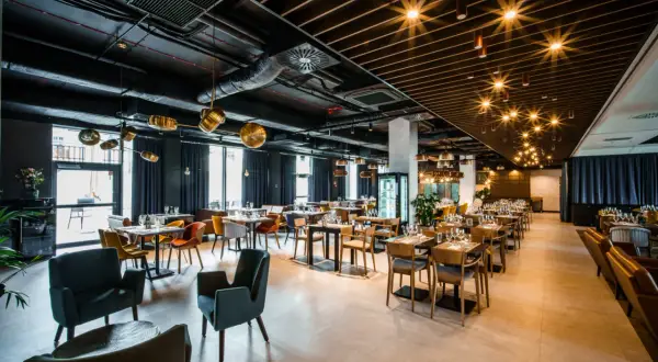 Szklarska Poręba na talerzu: Najlepsze restauracje i lokalne smaki