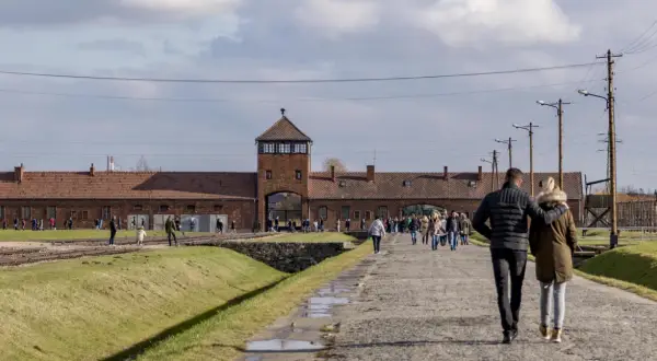 Oświęcim: Gdzie zjeść po Muzeum Auschwitz? Przewodnik po restauracjach