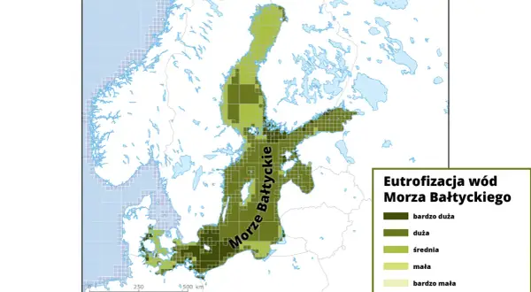 Mapa eutrofizacji wód Morza Bałtyckiego. Różne odcienie zieleni wskazują stopień zanieczyszczenia, od bardzo dużego do bardzo małego.