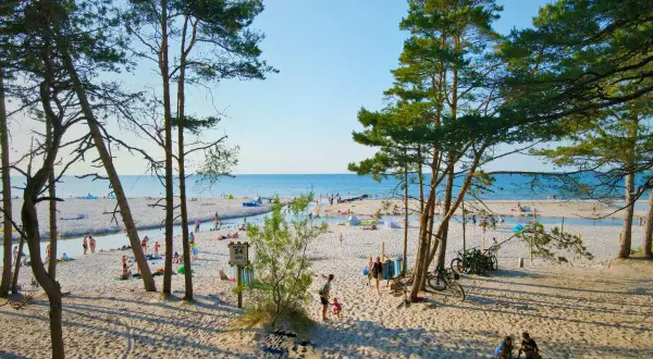 Słoneczna dębki plaża z piaszczystym wybrzeżem, drzewami sosnowymi i ludźmi odpoczywającymi nad wodą.
