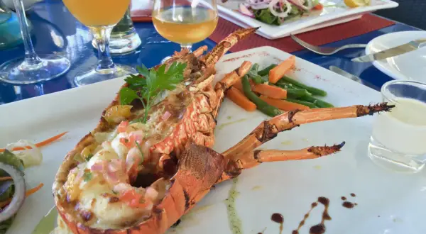Wykwintne mauritius jedzenie: grillowany homar z warzywami i drinkami. Pyszny posiłek na wakacjach.