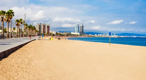 Słoneczna plaża w Barcelonie, palmy, spacerowicze i błękitne morze.