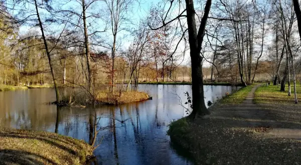 Gdzie zjeść w Pruszkowie? Sprawdź TOP miejsca na każdą okazję!