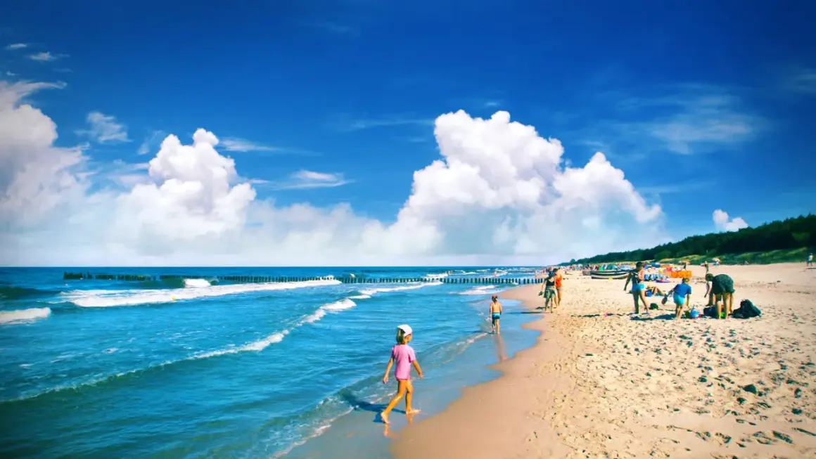 Słoneczna plaża, fale, dzieci bawiące się w piasku i w wodzie. W tle widać las i ludzi cieszących się wakacjami. Idealne miejsce na chałupy imprezy.