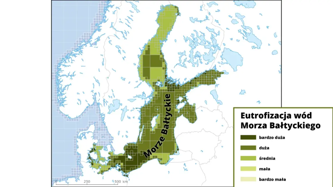 Mapa eutrofizacji wód Morza Bałtyckiego. Różne odcienie zieleni wskazują stopień zanieczyszczenia, od bardzo dużego do bardzo małego.