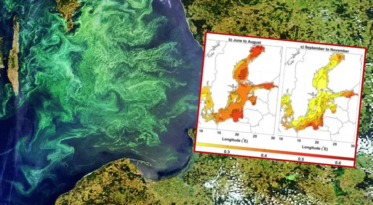 temperatura bałtyku miesiące wykres