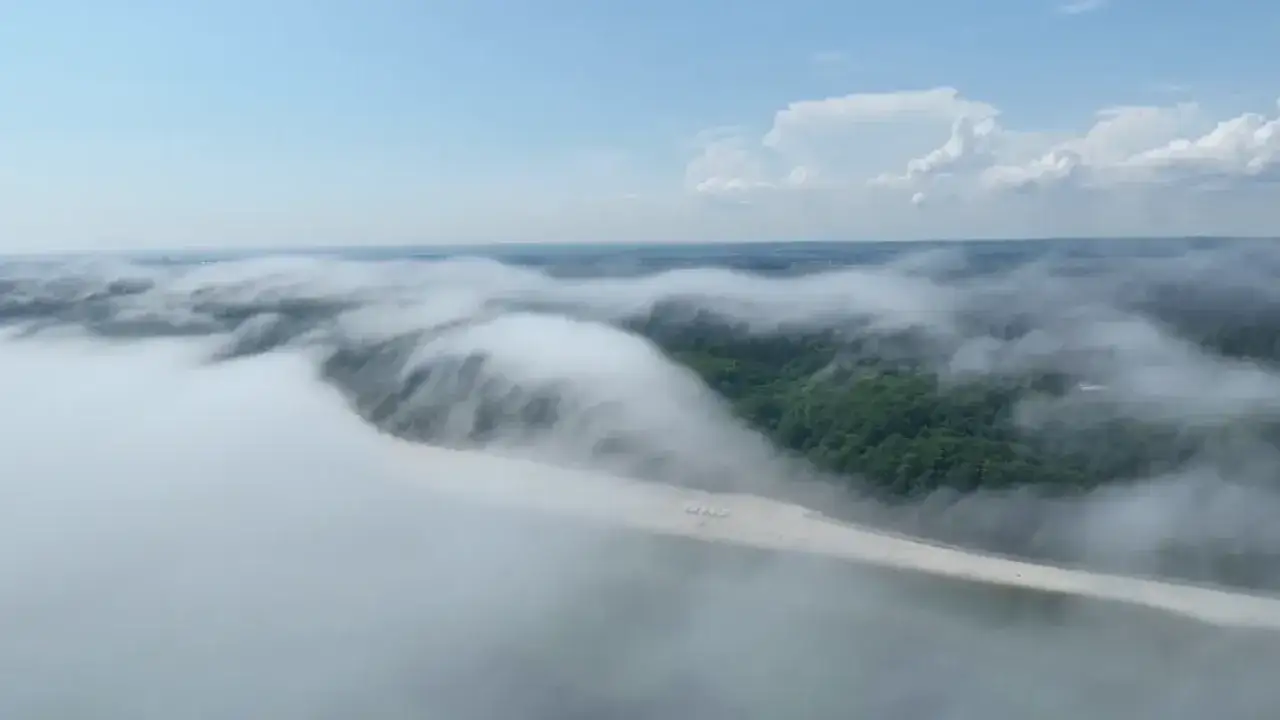 Mgła nad morzem otula piaszczystą plażę i zielony las, tworząc tajemniczy, eteryczny krajobraz.