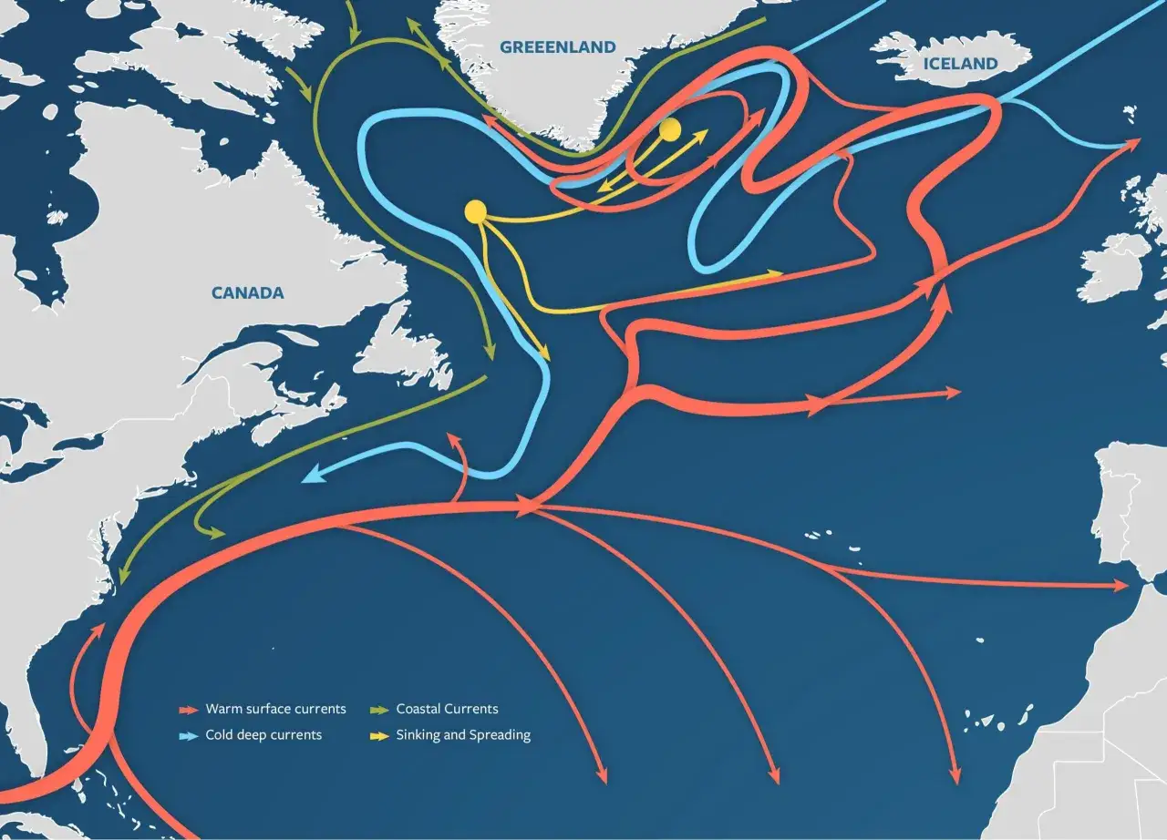 Mapa prądów oceanicznych na oceanie atlantyckim: ciepłe prądy powierzchniowe (czerwone), zimne prądy głębinowe (niebieskie), prądy przybrzeżne (żółte) i zanurzanie/rozprzestrzenianie (żółte).