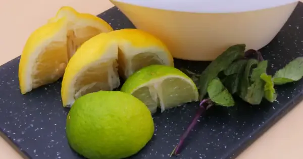 Kawałki cytryny i limonki, świeża mięta i miska. Idealne składniki na orzeźwiający napój.