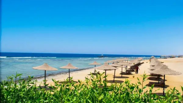 Słoneczny dzień na plaży w kraju nad Morzem Czerwonym. Rzędy parasoli i leżaków czekają na turystów.