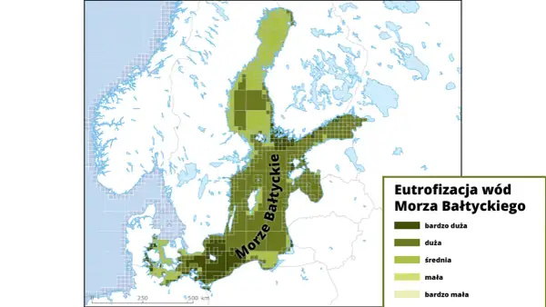 Mapa eutrofizacji wód Morza Bałtyckiego. Różne odcienie zieleni wskazują stopień zanieczyszczenia, od bardzo dużego do bardzo małego.