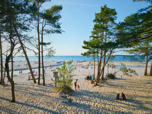 Słoneczna dębki plaża z piaszczystym wybrzeżem, drzewami sosnowymi i ludźmi odpoczywającymi nad wodą.